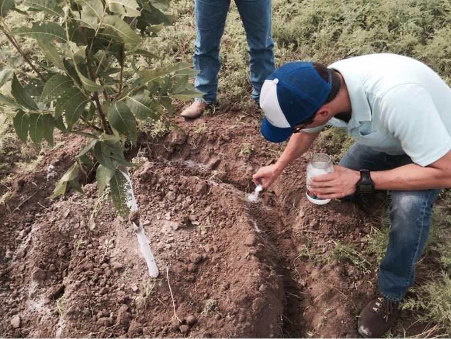 Solid Rain - 1 lb - Image 4